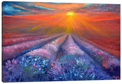 Lavender Sunset Canvas Art Print - Elena Lukina