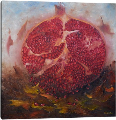 Pomegranate Canvas Art Print - Elena Lukina
