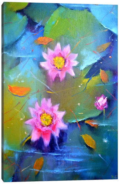 Pond Canvas Art Print - Water Lilies Collection