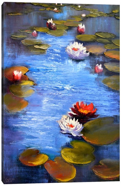Sanny Pond Canvas Art Print - Water Lilies Collection
