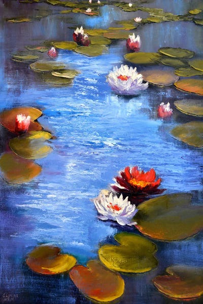Water Lilies: Sanny Pond by Elena Lukina