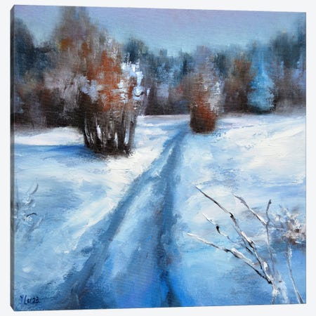 Snow Path Canvas Print #LKL38} by Elena Lukina Canvas Artwork