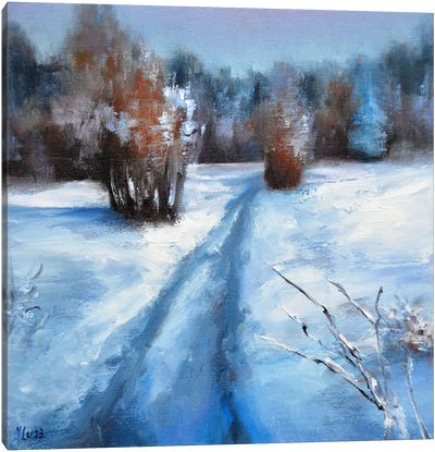 Snow Path Canvas Art Print - Elena Lukina