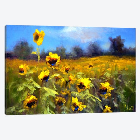 Sunflowers Field Canvas Print #LKL44} by Elena Lukina Canvas Artwork