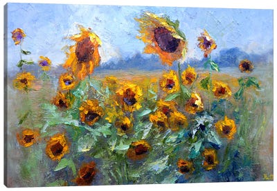Sunflowers I Canvas Art Print - Elena Lukina
