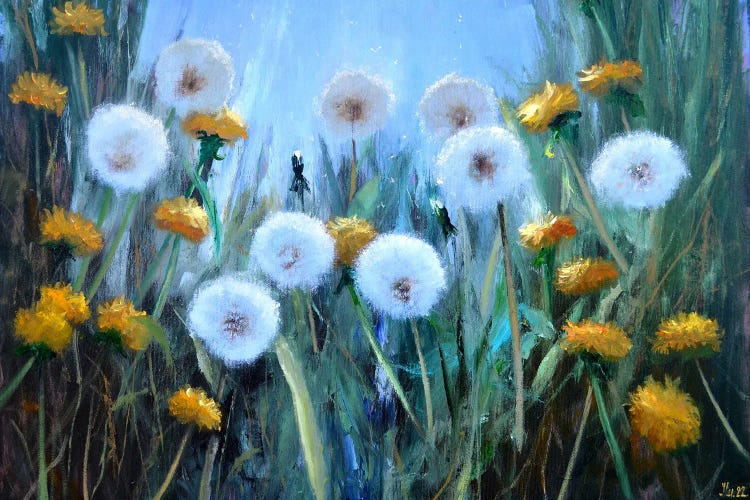 Sunny Dandelions