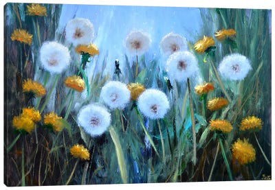 Sunny Dandelions Canvas Art Print - Dandelion Art