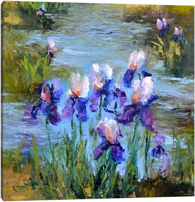 Beautiful Irises Canvas Art Print - River, Creek & Stream Art