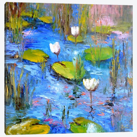 White Lily Pond Canvas Print #LKL55} by Elena Lukina Art Print