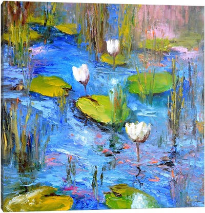 White Lily Pond Canvas Art Print - Water Lilies Collection