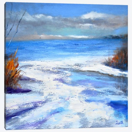 Winter Coast Canvas Print #LKL57} by Elena Lukina Art Print
