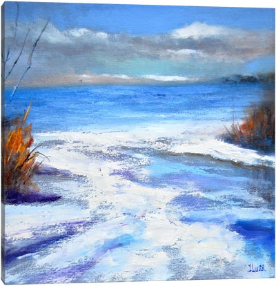 Winter Coast Canvas Art Print - Elena Lukina