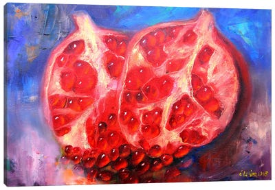 Рicturesque Pomegranate Canvas Art Print - Elena Lukina