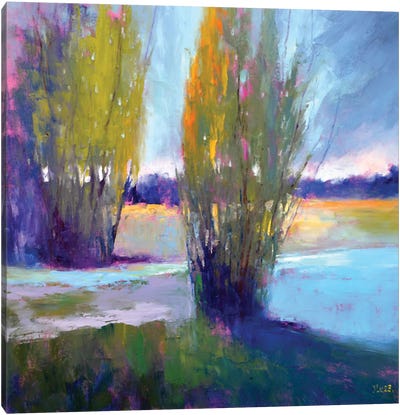 Evening Colors By The River Canvas Art Print - Elena Lukina