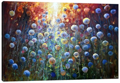 Dandelions At Sunrise Canvas Art Print - Elena Lukina