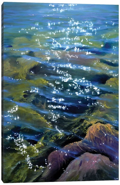 Transparent Water Canvas Art Print - Elena Lukina