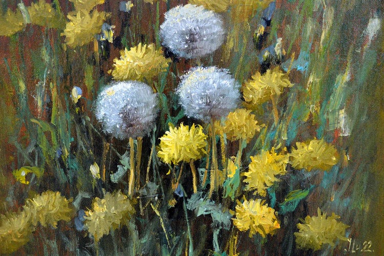 Dandelions In The Meadow