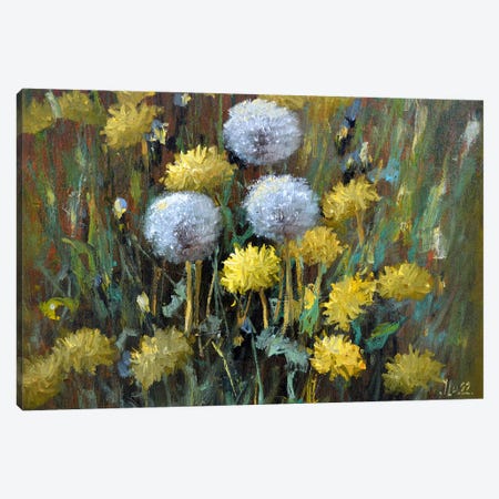 Dandelions In The Meadow Canvas Print #LKL7} by Elena Lukina Canvas Art Print