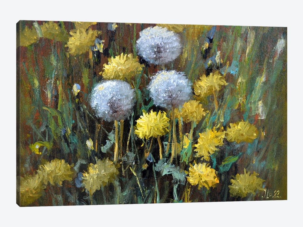 Dandelions In The Meadow by Elena Lukina 1-piece Canvas Wall Art
