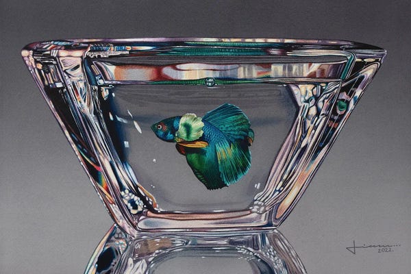 Betta: Untitled VII by Liam Kumawat