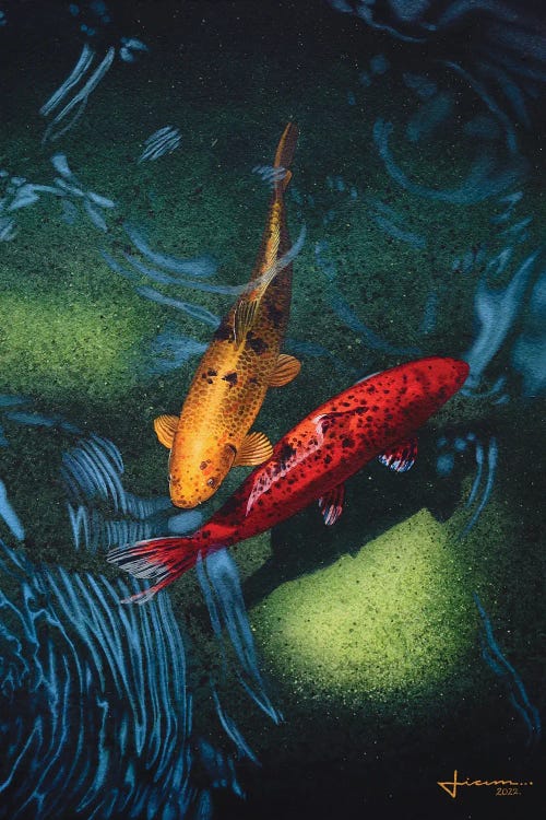 Koi Fish II