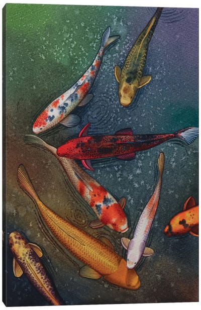 Koi Fish III Canvas Art Print - Water Art