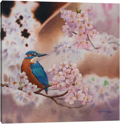 Blue Jay Canvas Art Print - Liam Kumawat