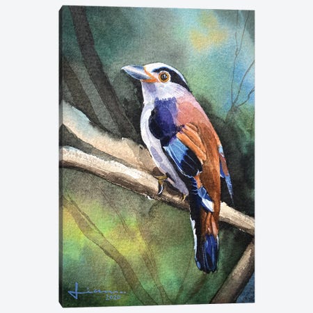 Perched Bird II Canvas Print #LKM11} by Liam Kumawat Art Print