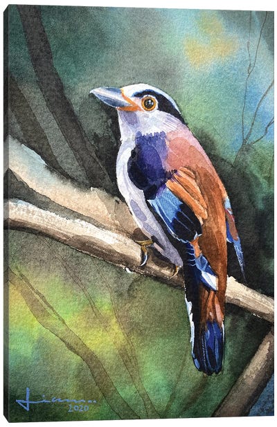 Perched Bird II Canvas Art Print - Liam Kumawat