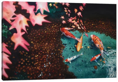 Koi Pond Canvas Art Print - Koi Fish Art