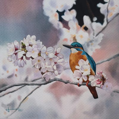 Blue Jay II by Liam Kumawat canvas print