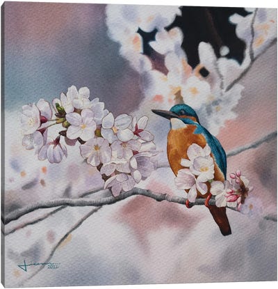 Blue Jay II Canvas Art Print - Liam Kumawat