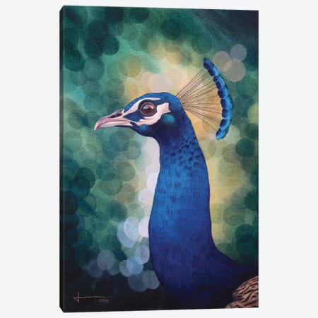 Peacock Canvas Print #LKM125} by Liam Kumawat Canvas Wall Art