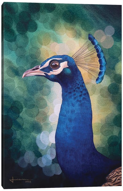 Peacock Canvas Art Print - Liam Kumawat