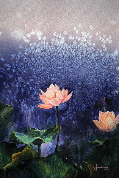 Lotuses: Blossom by Liam Kumawat
