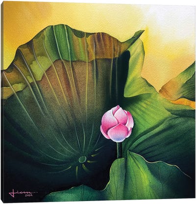 Bloom II Canvas Art Print - Lily Art
