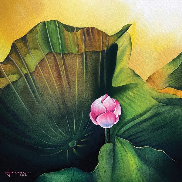 Water Lilies: Bloom II by Liam Kumawat