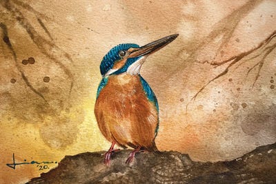 Kingfisher II by Liam Kumawat framed canvas print