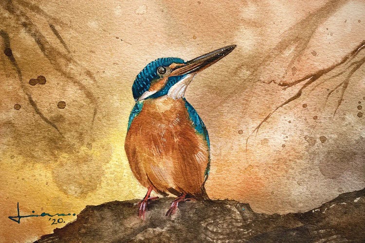 Kingfisher II