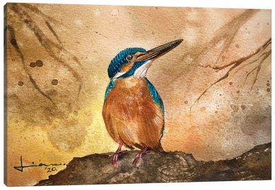 Kingfisher II Canvas Art Print - Liam Kumawat
