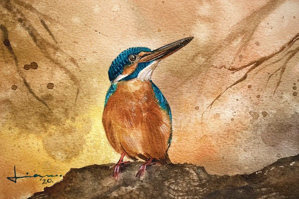 Liam Kumawat: Kingfisher II by Liam Kumawat