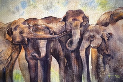 Gathering by Liam Kumawat canvas print