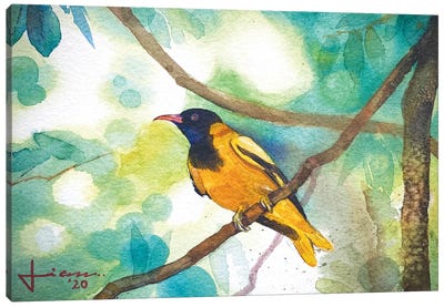 Perched Bird III Canvas Art Print - Liam Kumawat