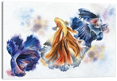 Beta Fish Canvas Art Print - Liam Kumawat