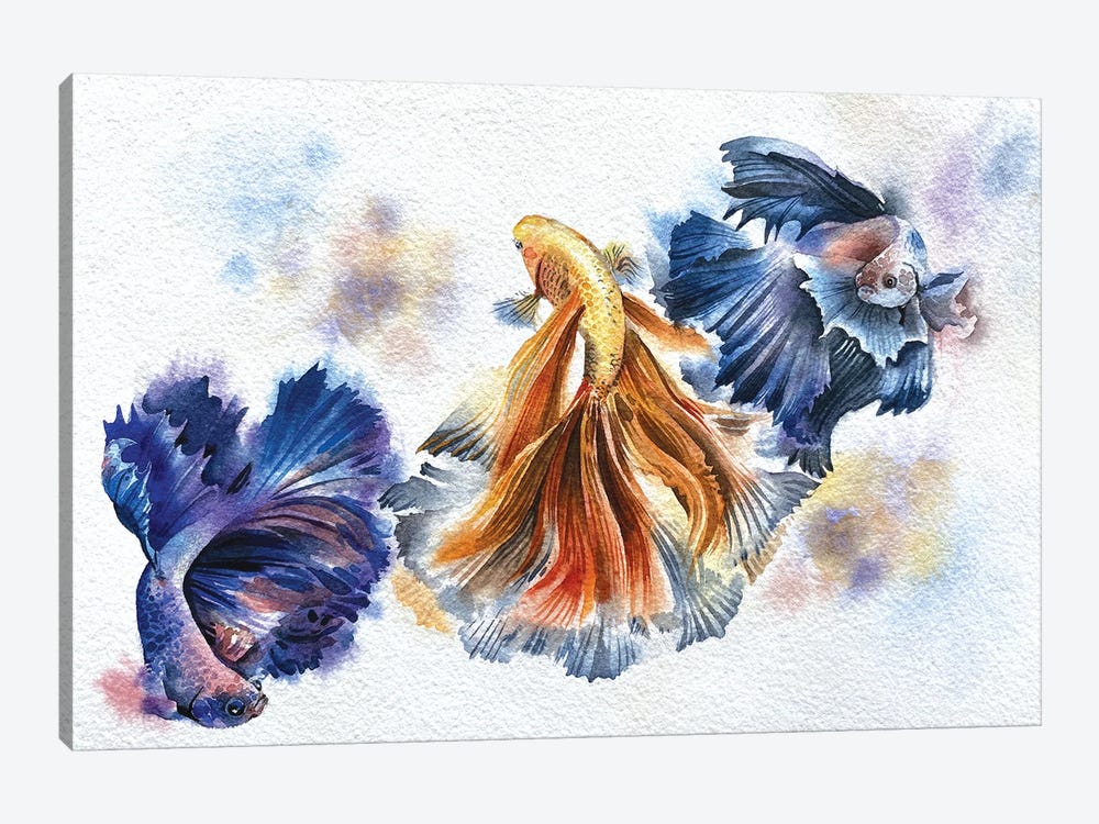 Beta Fish by Liam Kumawat 1-piece Canvas Art