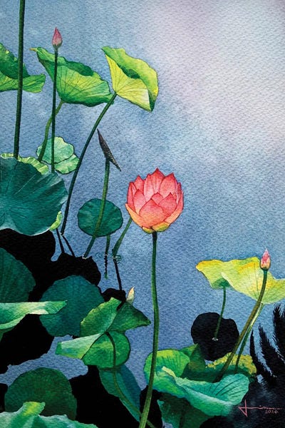 Water Lilies: Bloom by Liam Kumawat