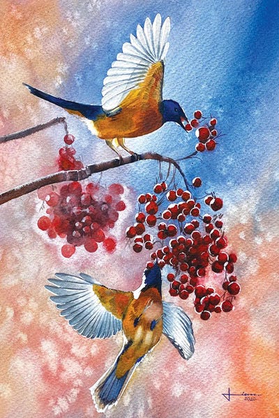 Liam Kumawat: Blue Tit by Liam Kumawat