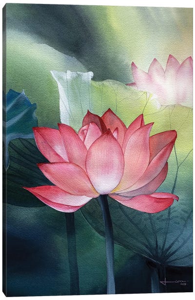 Water Lily I Canvas Art Print - Liam Kumawat