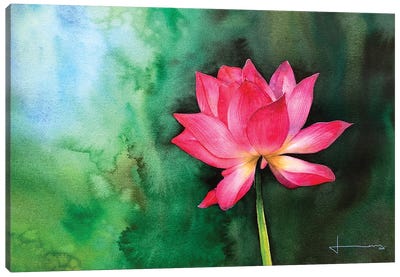 Water Lily II Canvas Art Print - Zen Bedroom Art