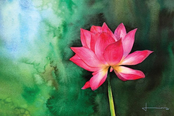 Zen Bedroom: Water Lily II by Liam Kumawat